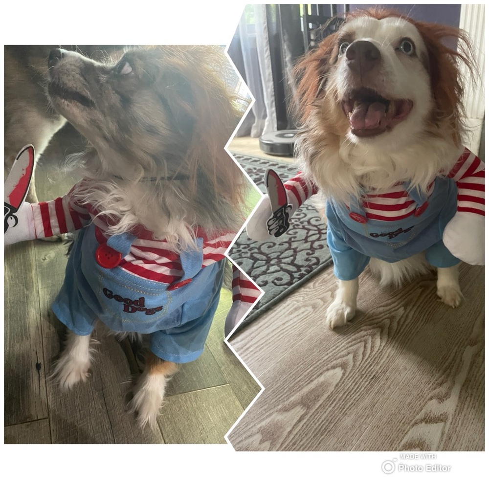 Chucky Good Dog Halloween Costume Size Medium